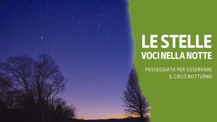 le stelle voci nella notte (4)