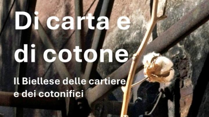 Titolo e fotografia di pianta di cotone