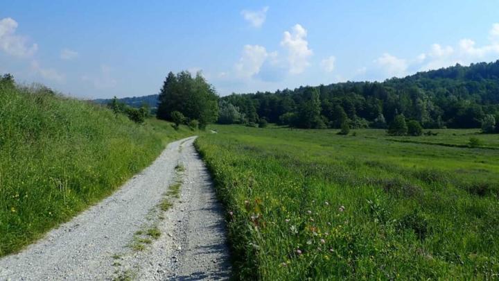 Foto da www.sorgentidelbelbo.areeprotettealpimarittime.it